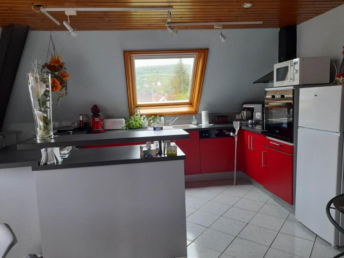 Gite Le Jardin De Hermolsheim. Alsace Tres Spacieux ムツィヒ エクステリア 写真