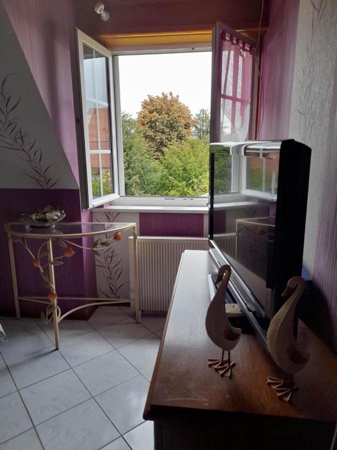 Gite Le Jardin De Hermolsheim. Alsace Tres Spacieux ムツィヒ エクステリア 写真