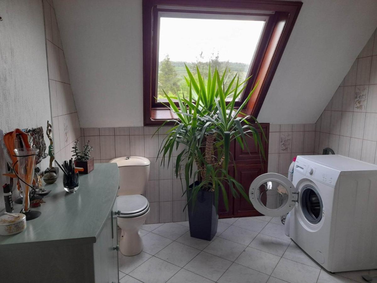 Gite Le Jardin De Hermolsheim. Alsace Tres Spacieux ムツィヒ エクステリア 写真