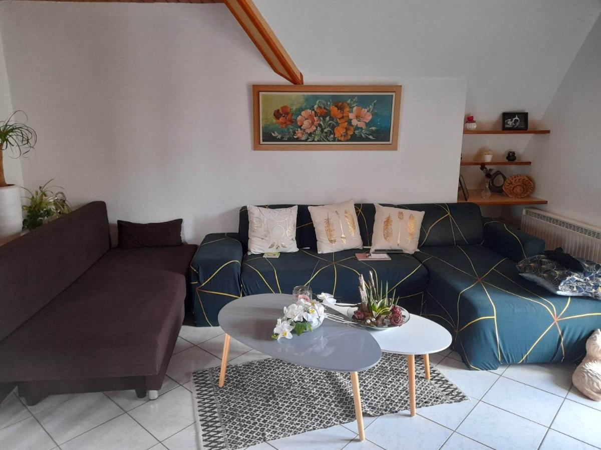 Gite Le Jardin De Hermolsheim. Alsace Tres Spacieux ムツィヒ エクステリア 写真